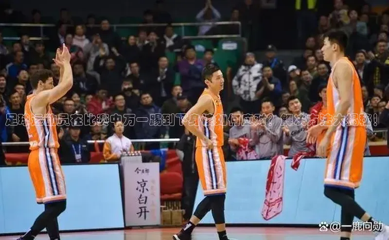 意昂4登录小度商城