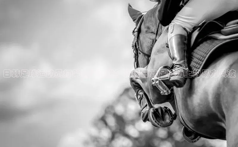 意昂体育4代理赛富乐斯