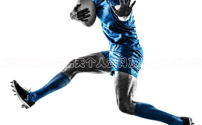 意昂4官网一径科技