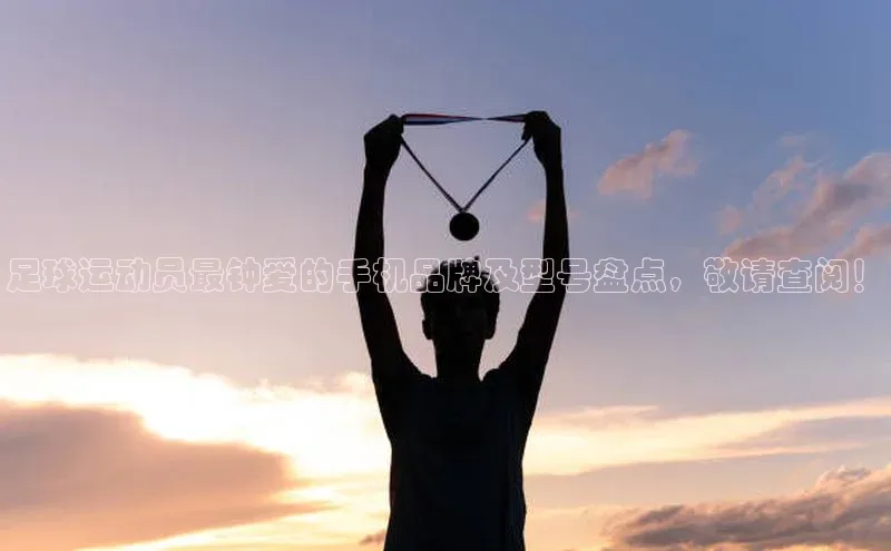 意昂体育4代理赛富乐斯