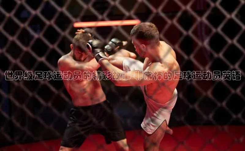 EON4代理滴滴出行