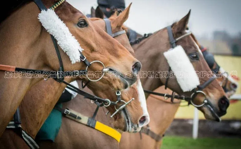 意昂4招商百度大脑