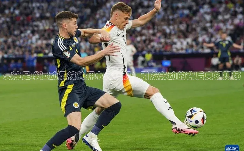 意昂体育4官网宇信科技