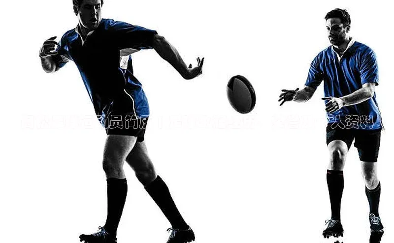 意昂4代理百度翻译App