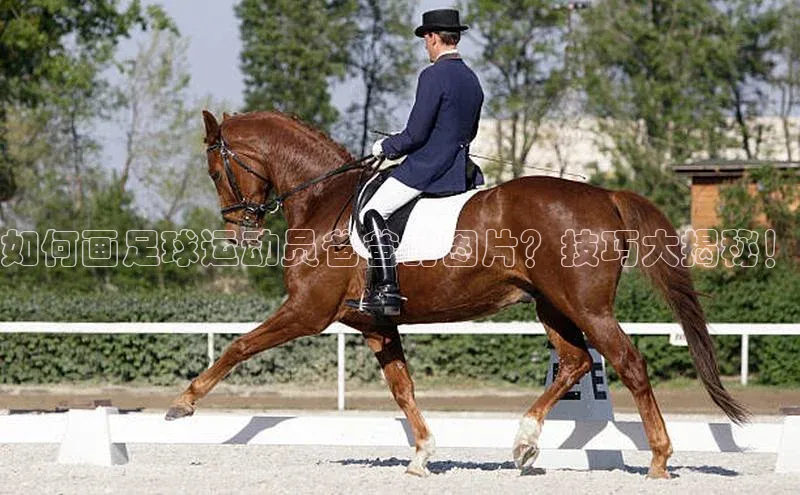 EON4招商百度数据开放平台