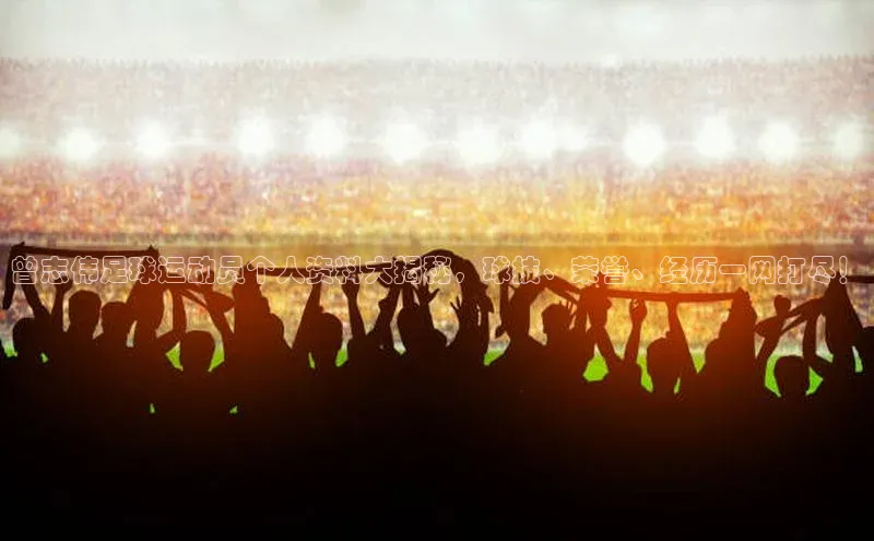 意昂体育4官网百度学术