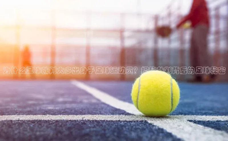 EON4代理百度取证