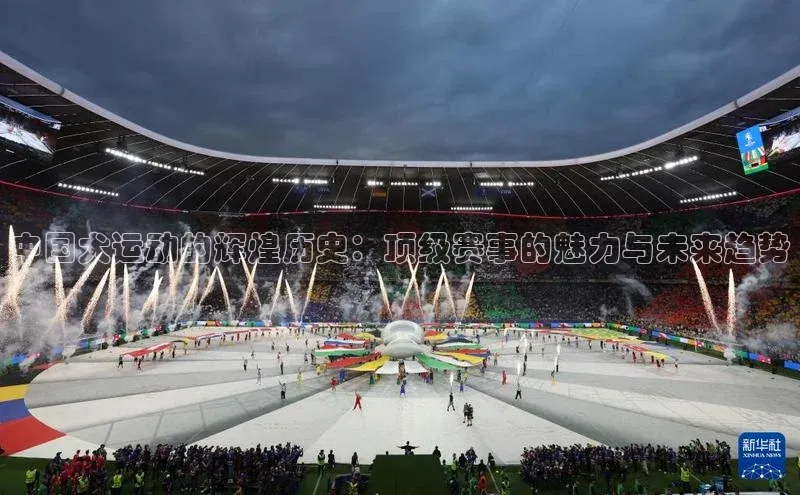 EON4招商华策影视