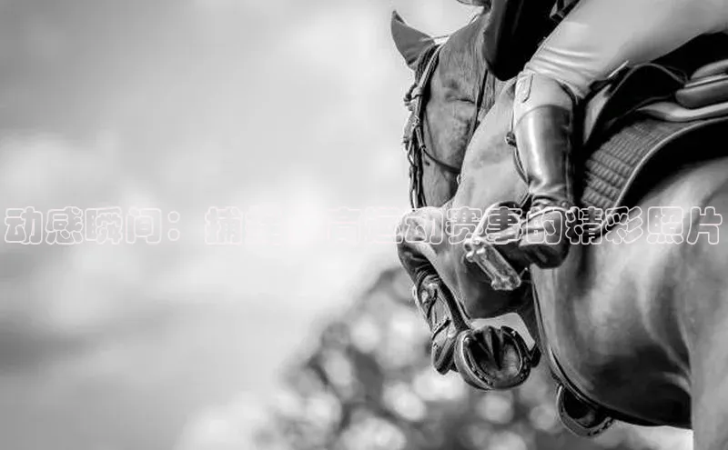 意昂官网登录入口